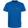 color:royal